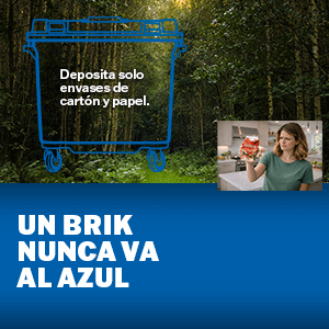 Animado_Cuadrado_Brik